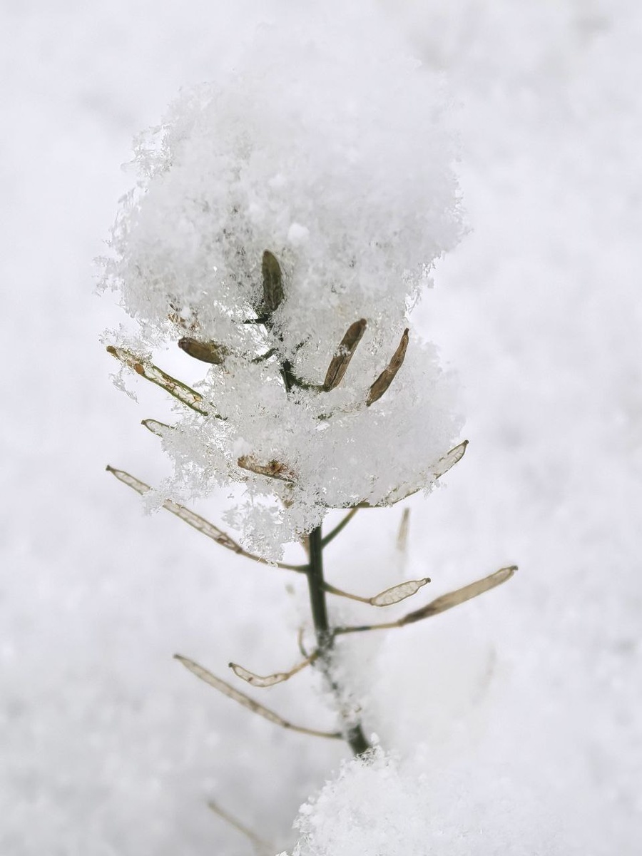 Авторское фото