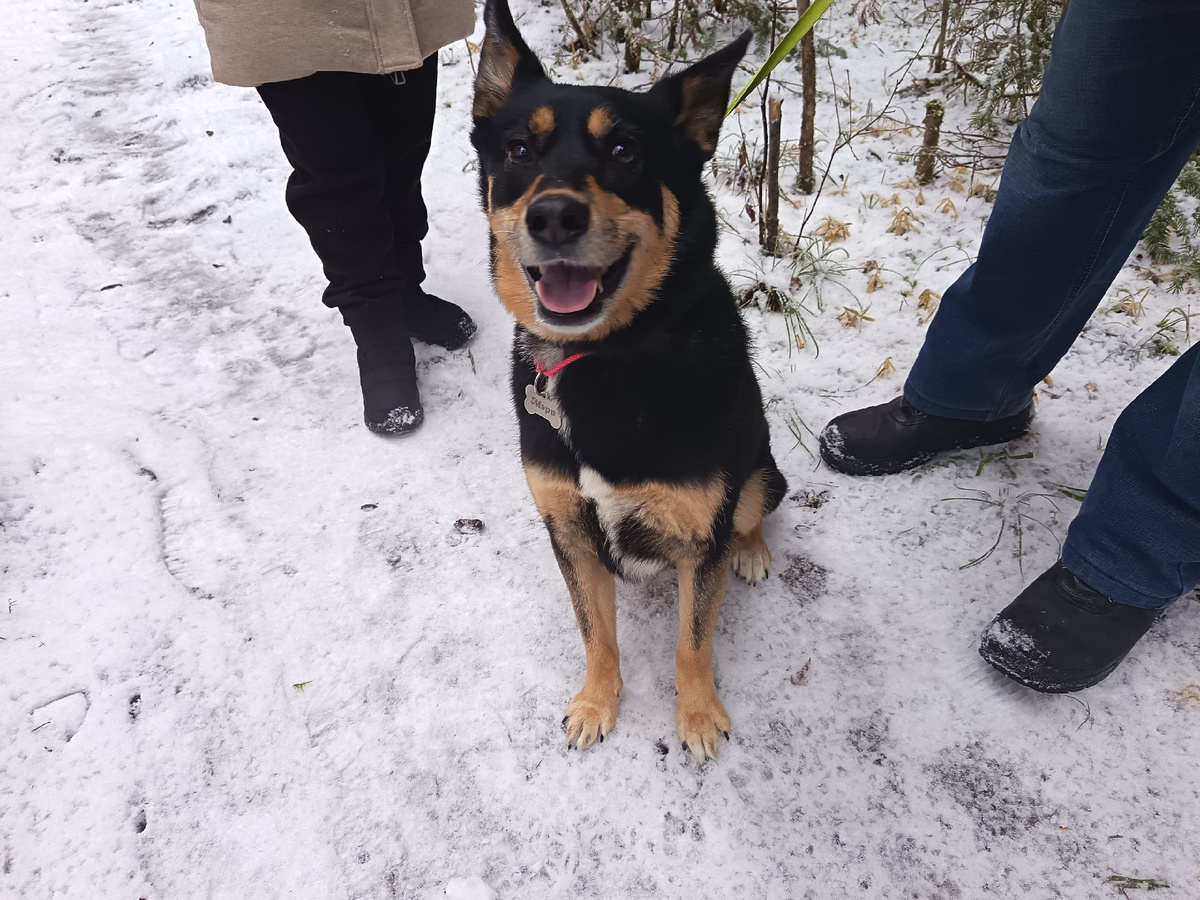 Счастливый " ребенок "