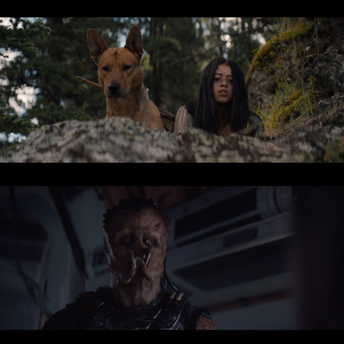 "Добыча" 2022/ "Планета смерти"2025