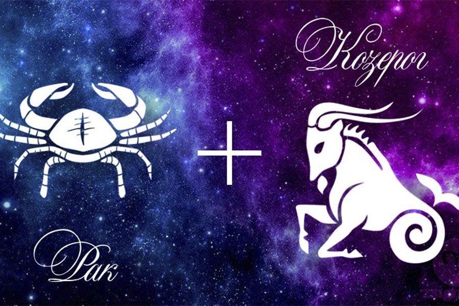 фото Яндекса