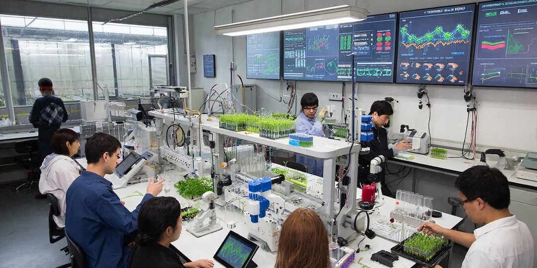 Современные тенденции и инновационные решения в селекции растений