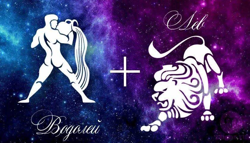 фото Яндекса