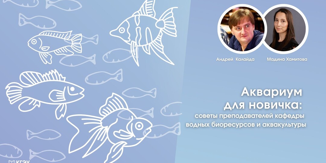 Аквариум для новичка: советы преподавателей кафедры водных биоресурсов и аквакультуры