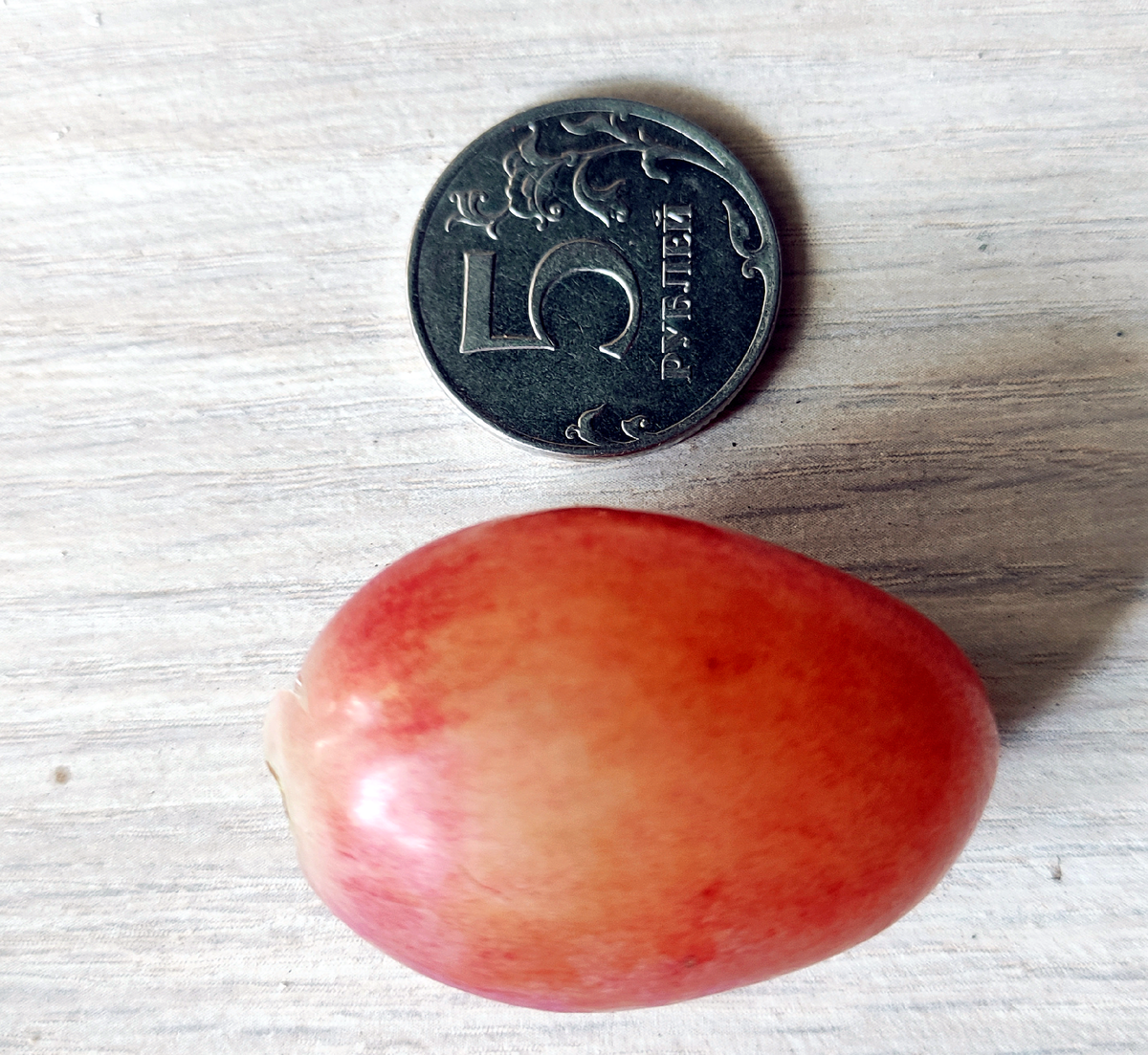 Кто-то еще хочет сказать, что ягода Гамлета недостаточно крупная?