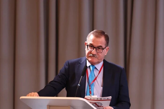 Юрий Щербанин - доктор экономических наук, профессор. Заведующий лабораторией Анализа и прогнозирования транспортно-логистических систем ИНП РАН. Источник фото: оргкомитет форума «МТК «Север-Юг - Новые горизонты».