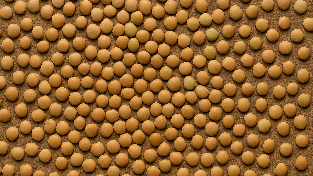    Изображение создано при помощи ИИ