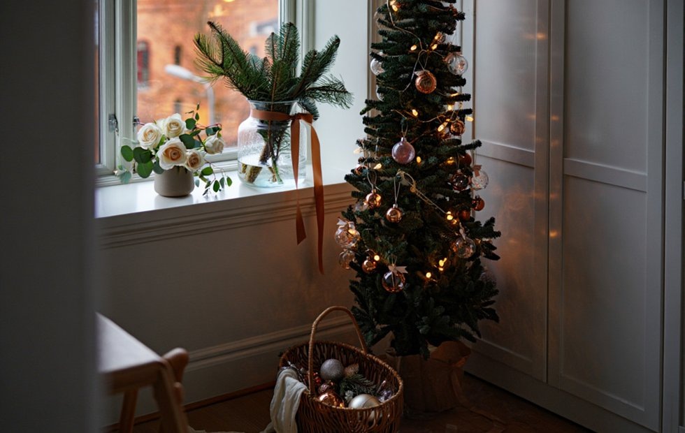 Фото с сайта: freepik.com