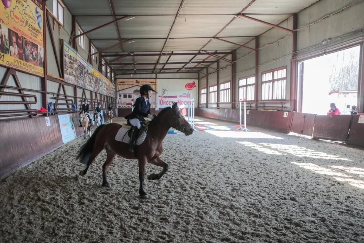    В Москве и области существует немало конных клубов и школ верховой езды.