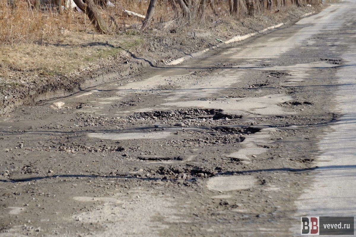     Фото: Владислав Постников / Вечерние Ведомости
