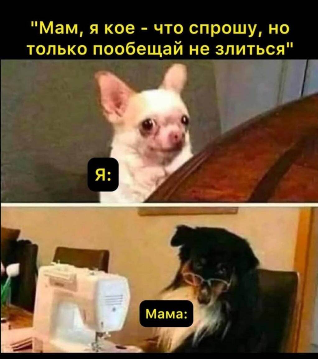 Картинка взята из общего доступа сети Интернет 