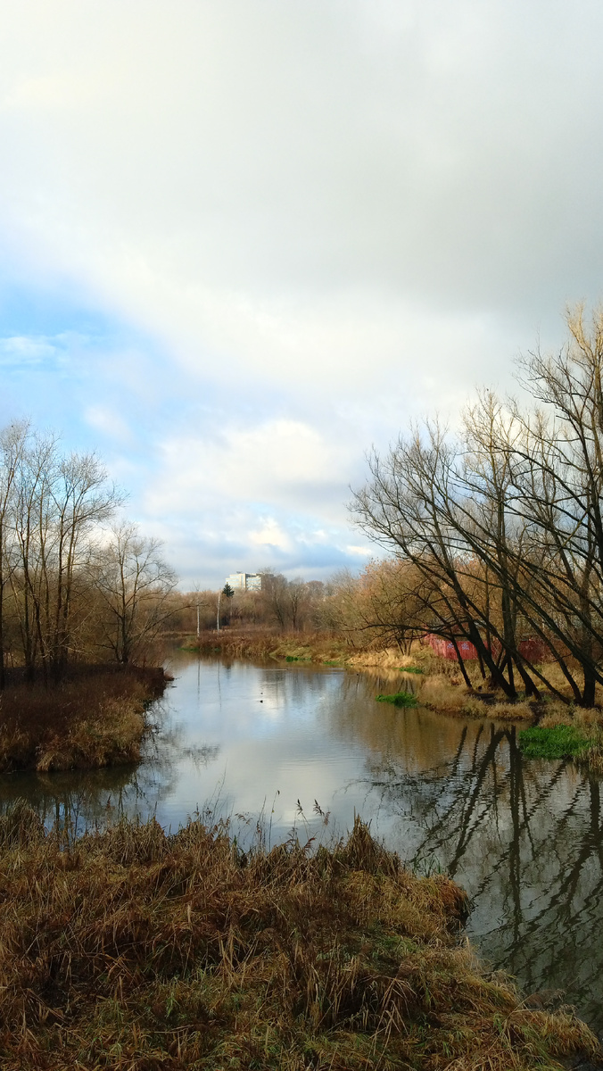 Я бы такой пейзаж ,повесила бы дома 😊Фото автора.
