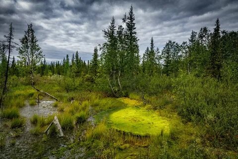 Из открытых источников интернета