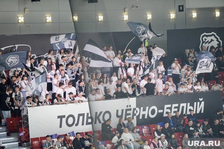     Надежды болельщиков на победу полностью оправдались