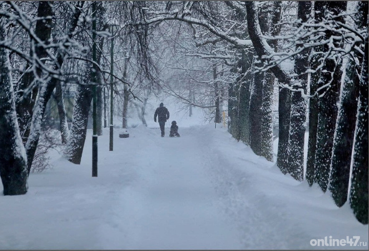 фото: Валентин Илюшин/ Online47