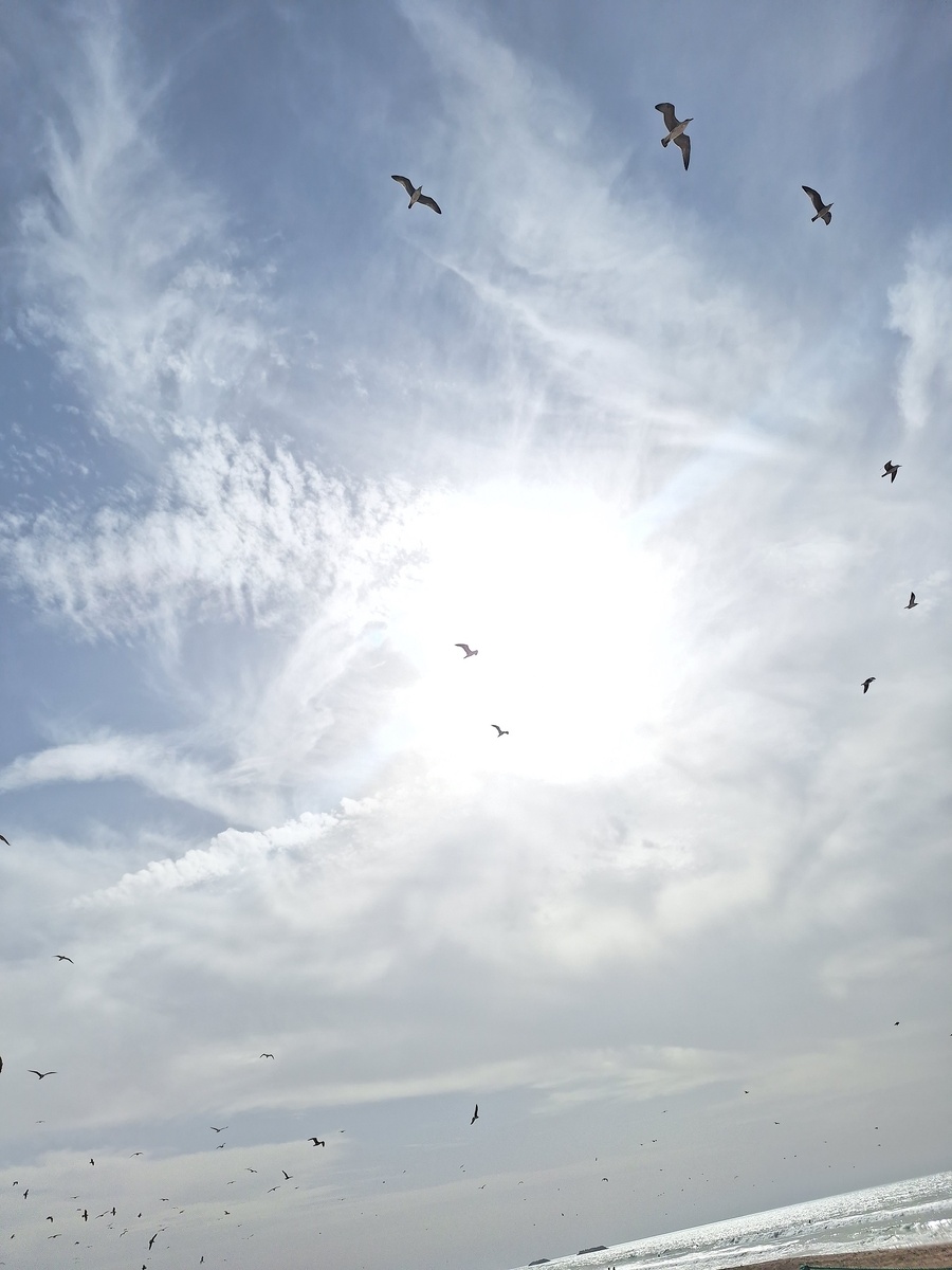 свободный полет над океаном