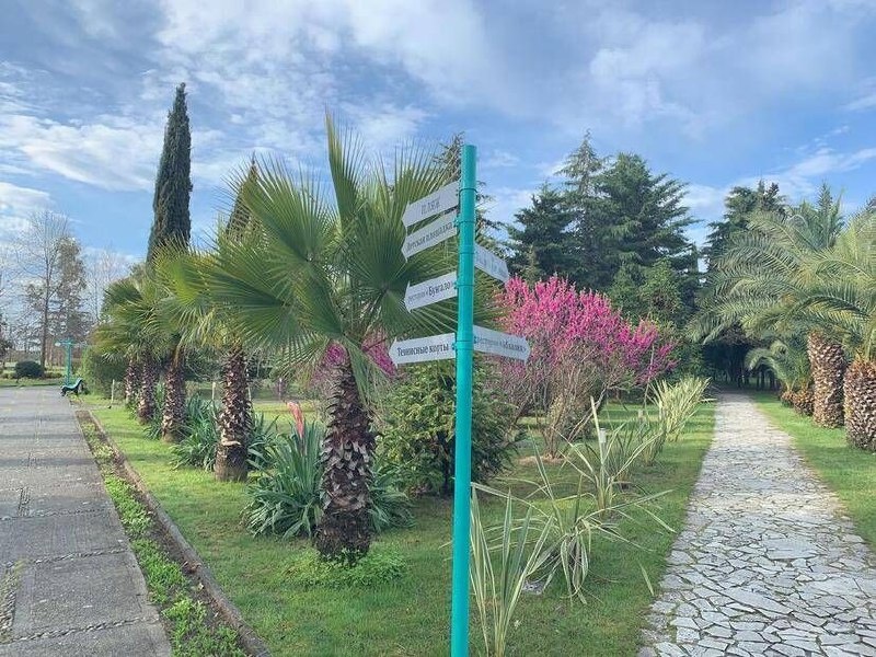 Фото level.travel