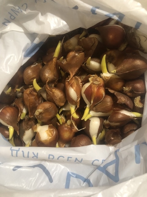 И мелкие и крупные, разные!