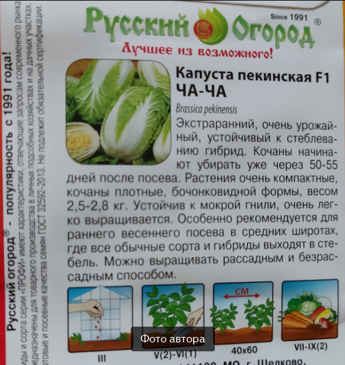 фото автора