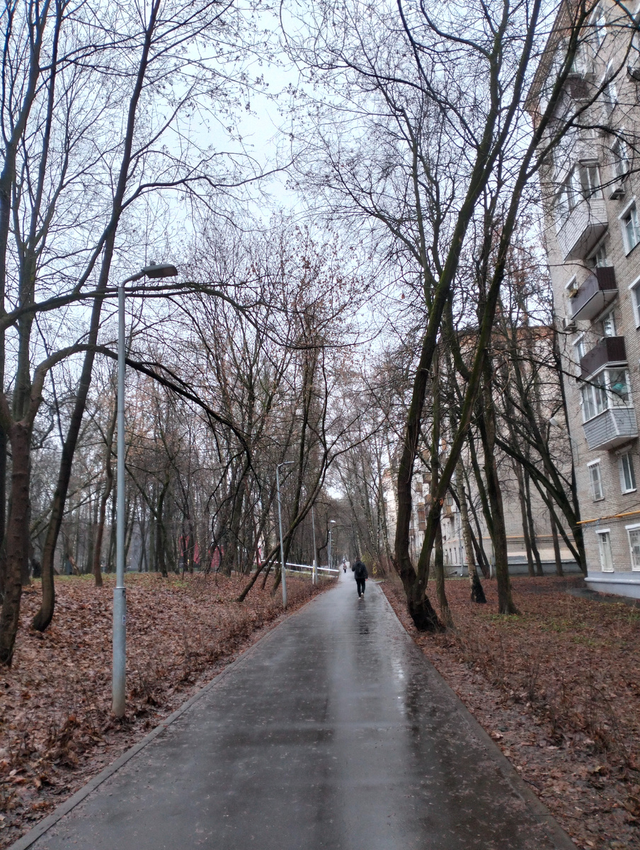 А это хмурое осеннее утро 