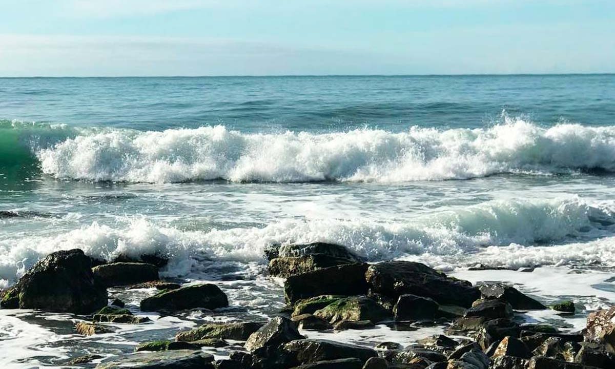    Фото «Кубань 24»