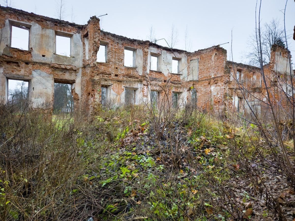 Усадьба Демьяново. Главный дом.