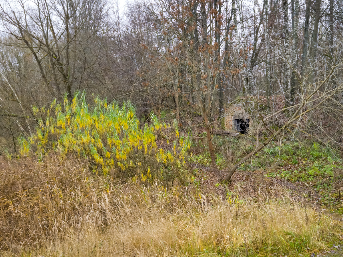 Усадьба Демьяново. 