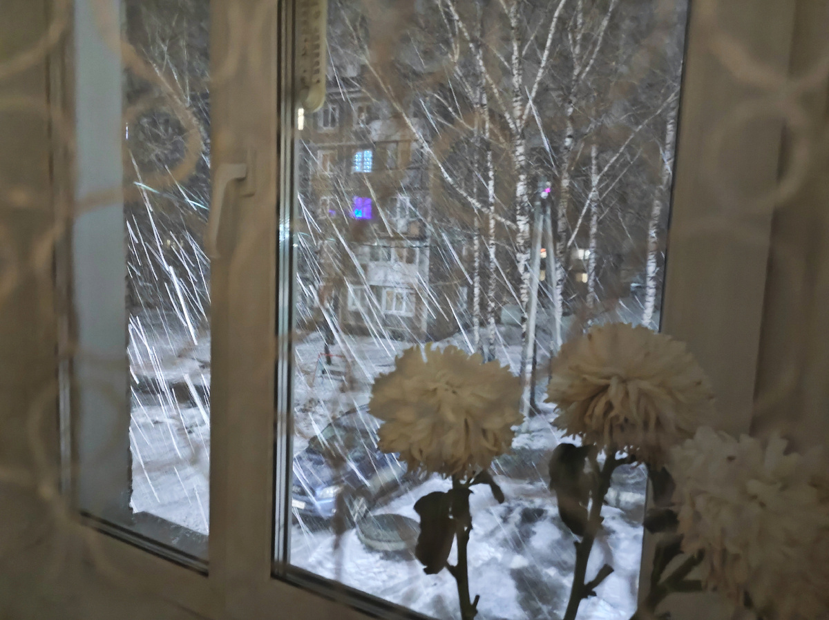 Снег за окном. Фото автора 