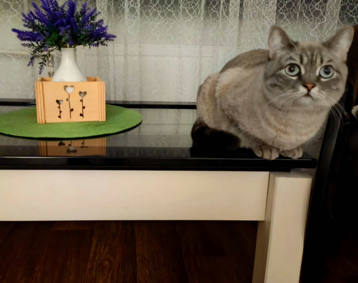 Всем доброго утра! Фото автора 