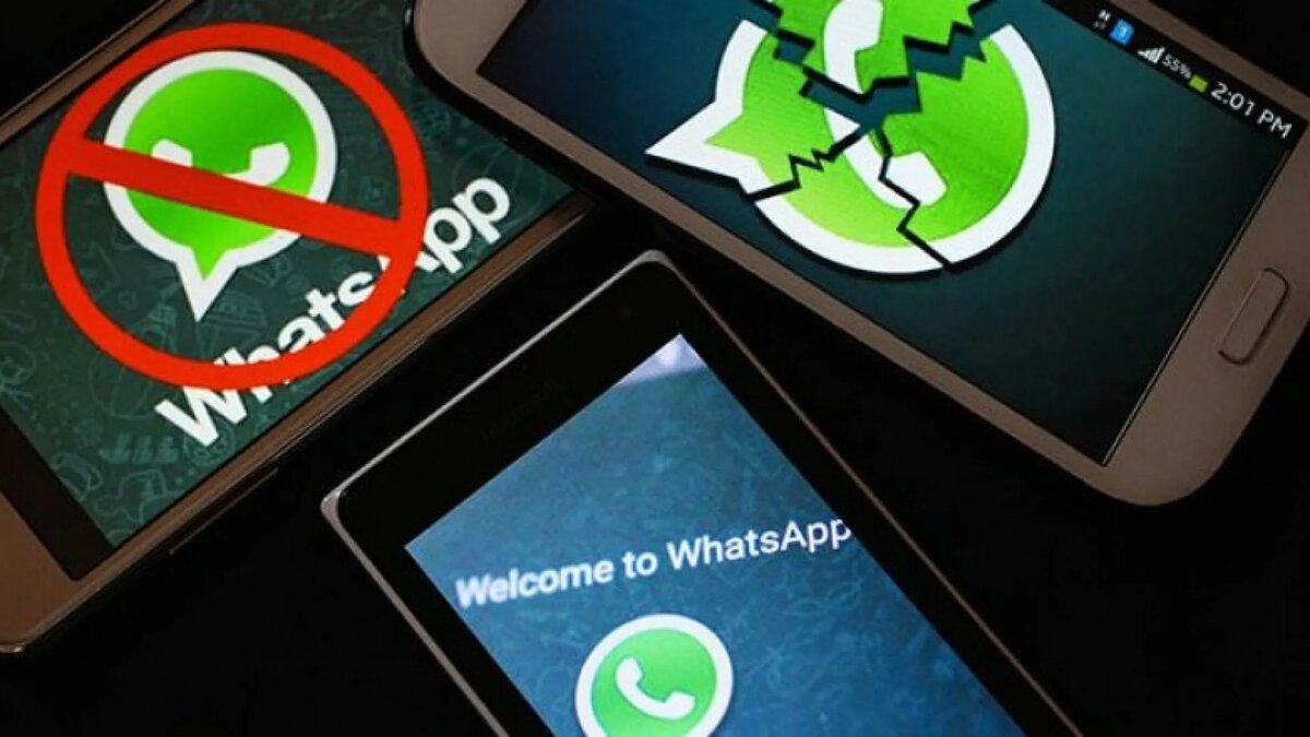 WhatsApp* logo