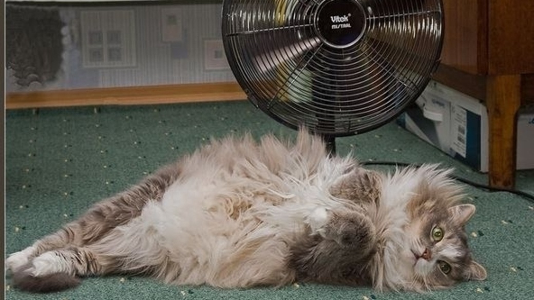 источник Яндекс-картинки