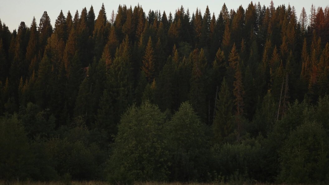    Фото: Elena Mayorova/Global Look Press