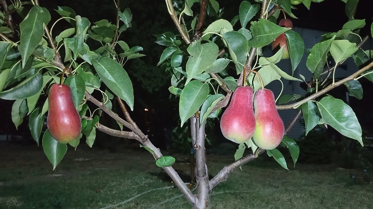 Август 2022 года.