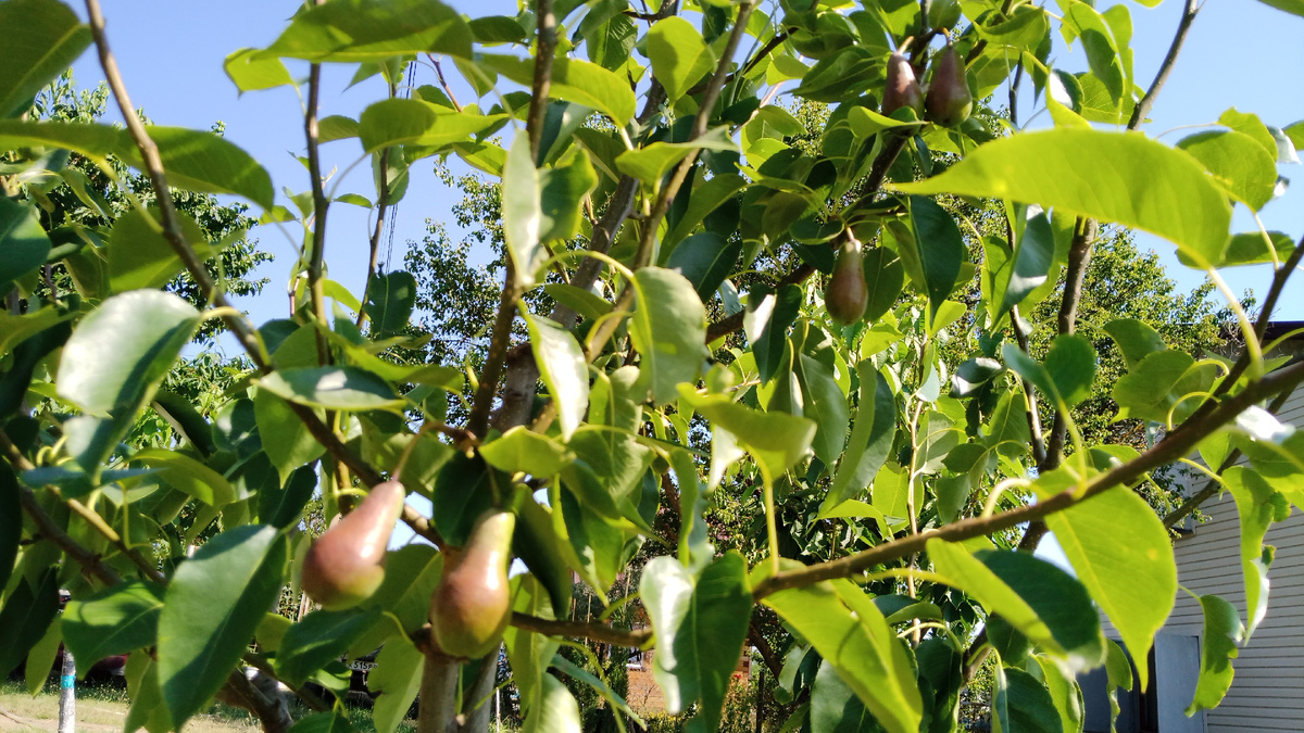 Июнь 2022 года.