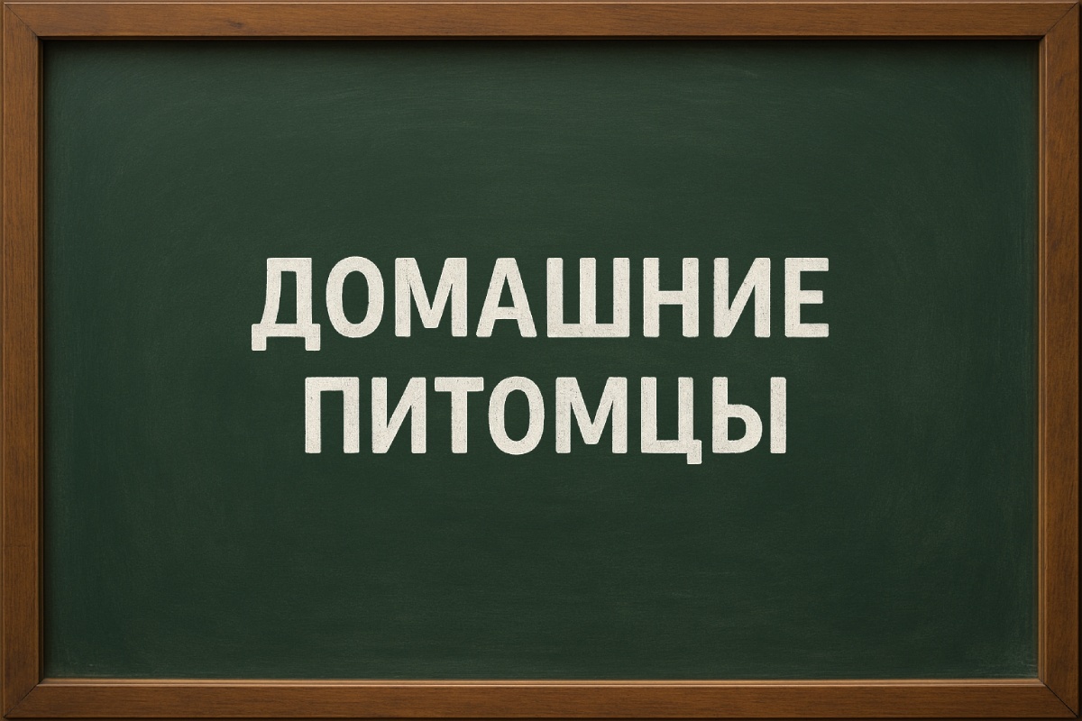 Классный час "Разговоры о важном" 1 декабря 2025 года