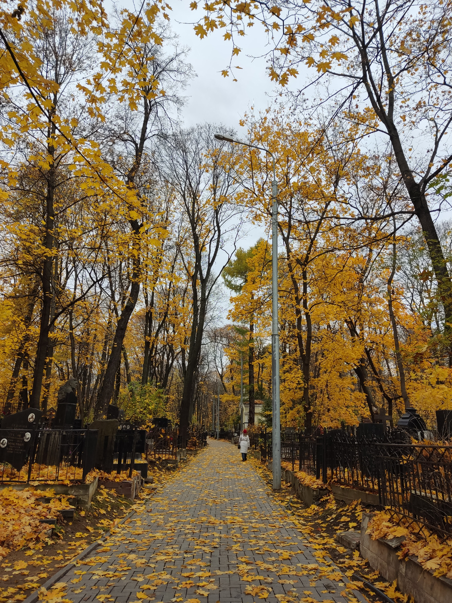 Главная дорожка