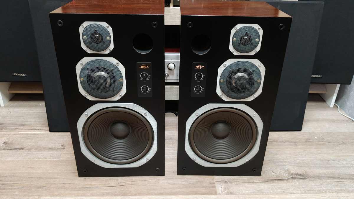 Акустика Coral X-V. Фото из моего личного архива.