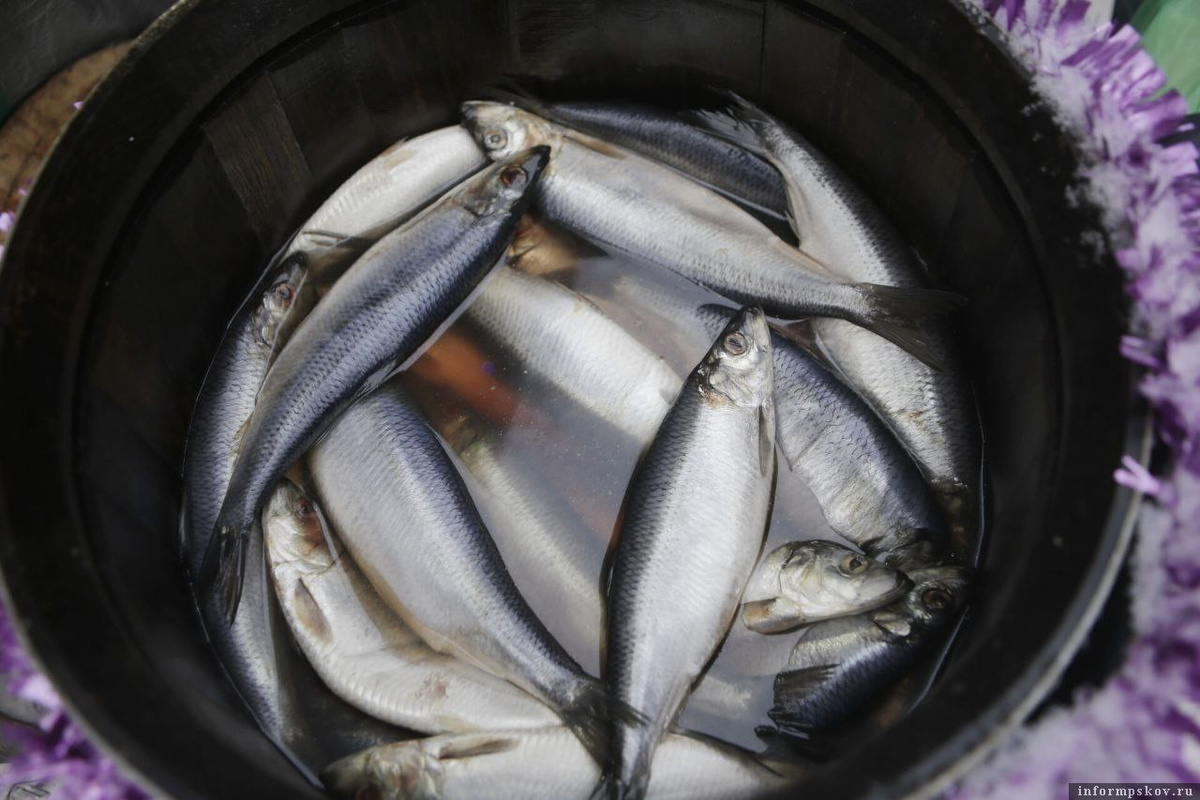 Фотография носит иллюстративный характер. Фото: ПАИ