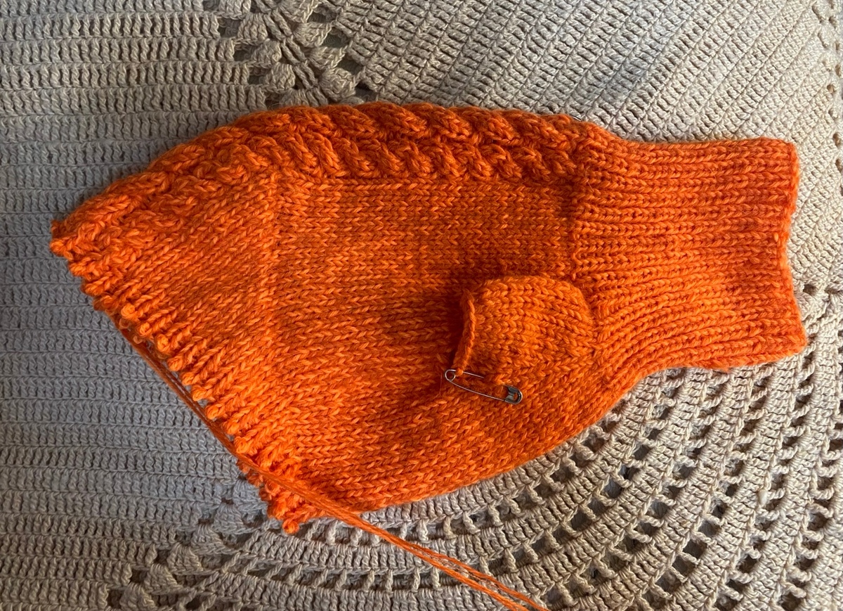 Бугорок на спинке.