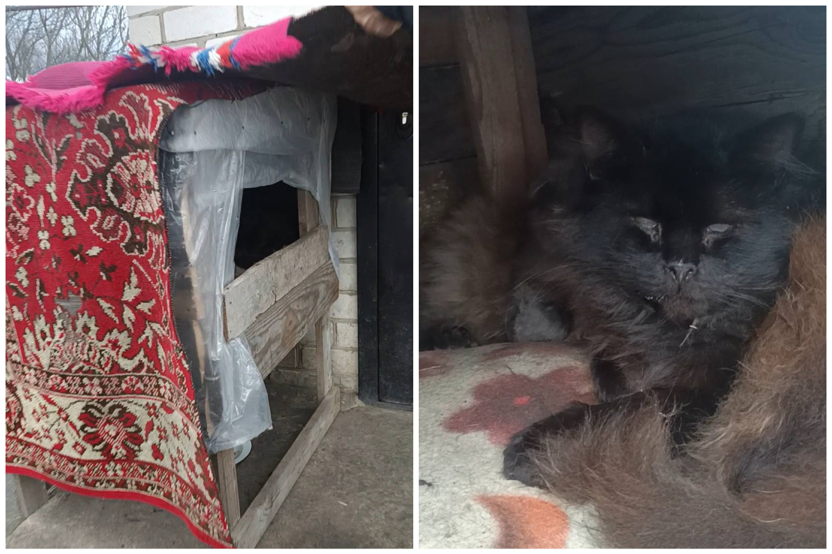 Вот так и выживал...