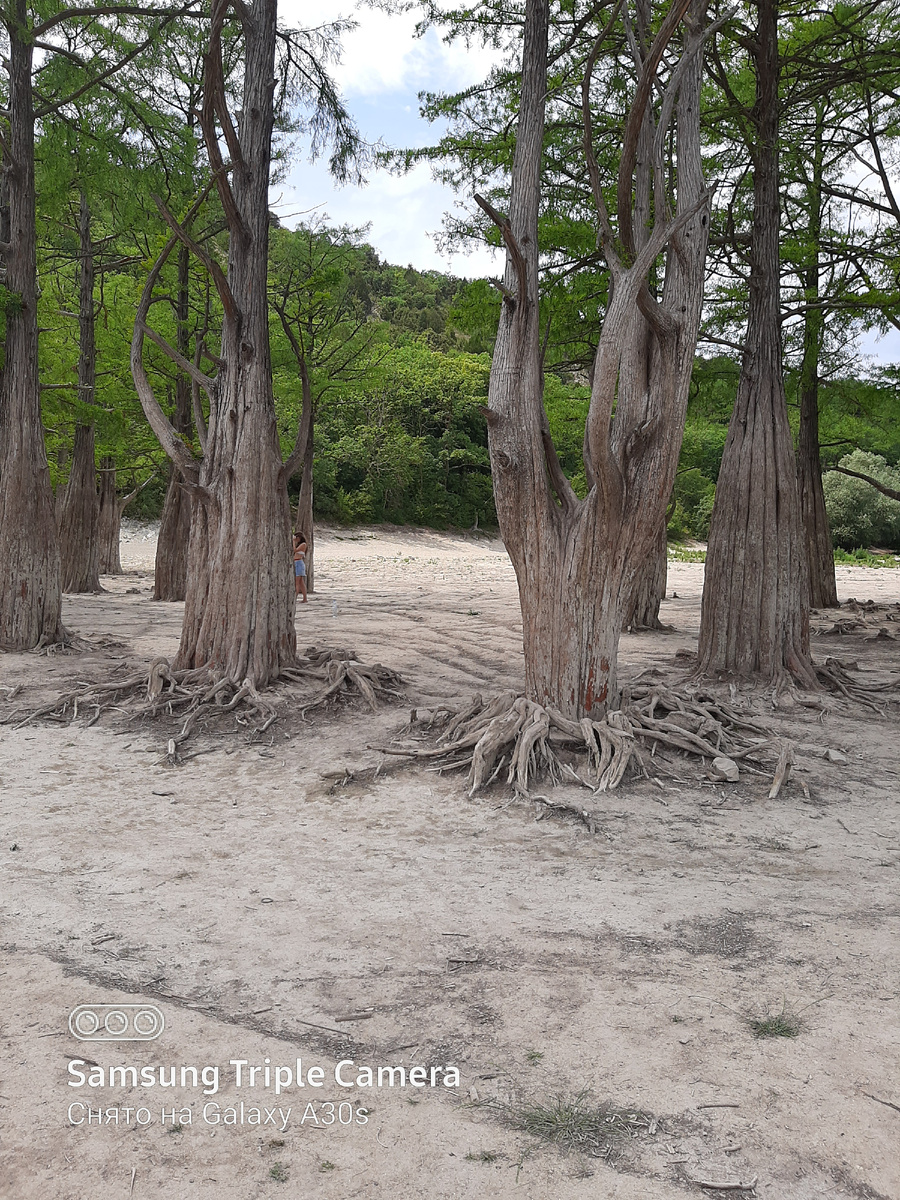 Фото из личного архива, сделано в июне 2020 года.