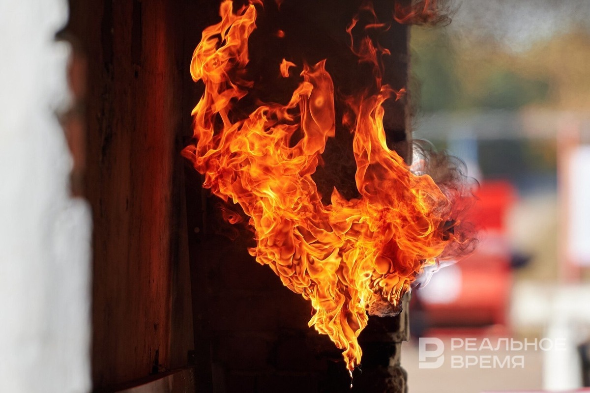   Динар Фатыхов / realnoevremya.ru