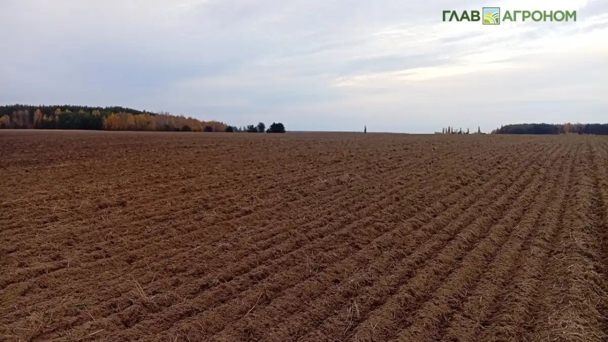 Фото:© Николай Петроченко / Glavagronom.ru
В ЮФУ начали эксперимент по созданию искусственных черноземов