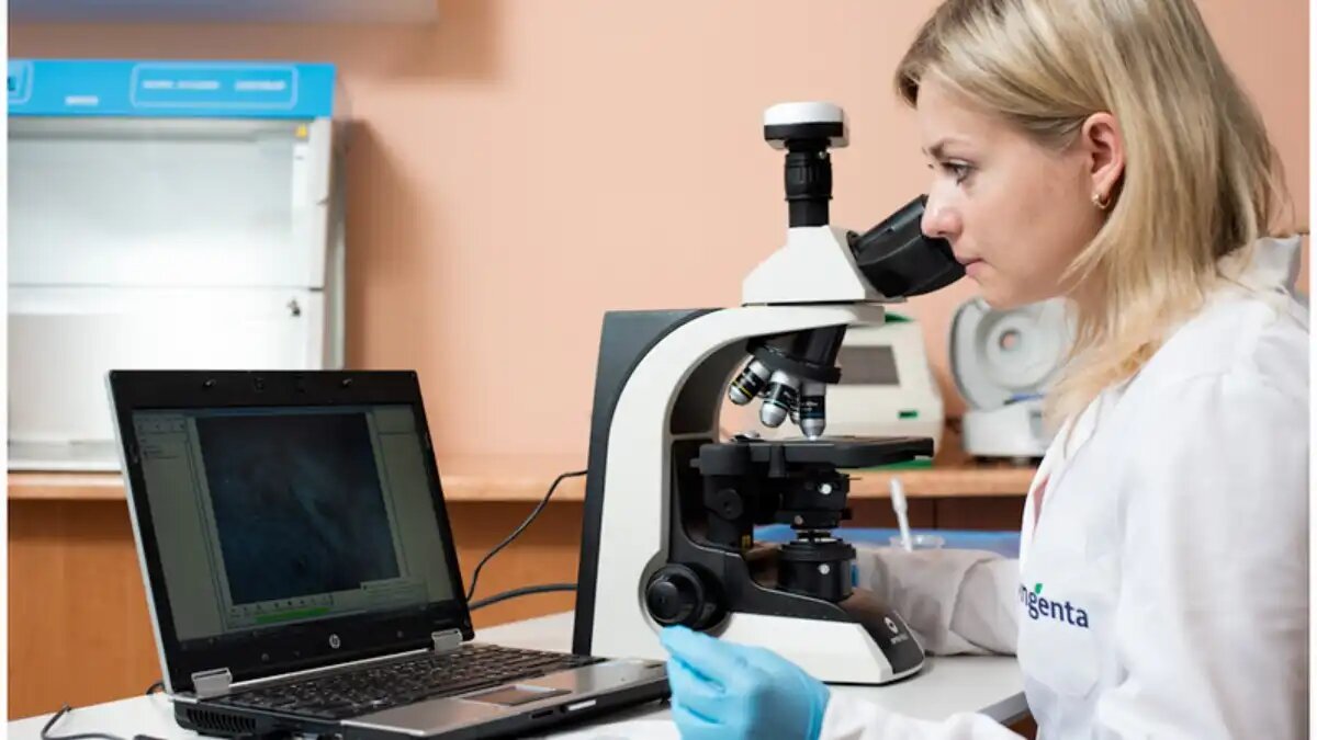 Фото:Syngenta
Разработка дифеноконазола принадлежит швейцарской компанией Sandoz, одному из предшественников Syngenta