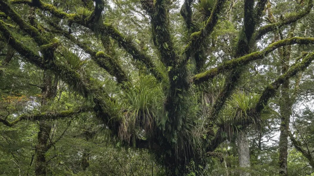    Robert Haasmann/Globallookpress