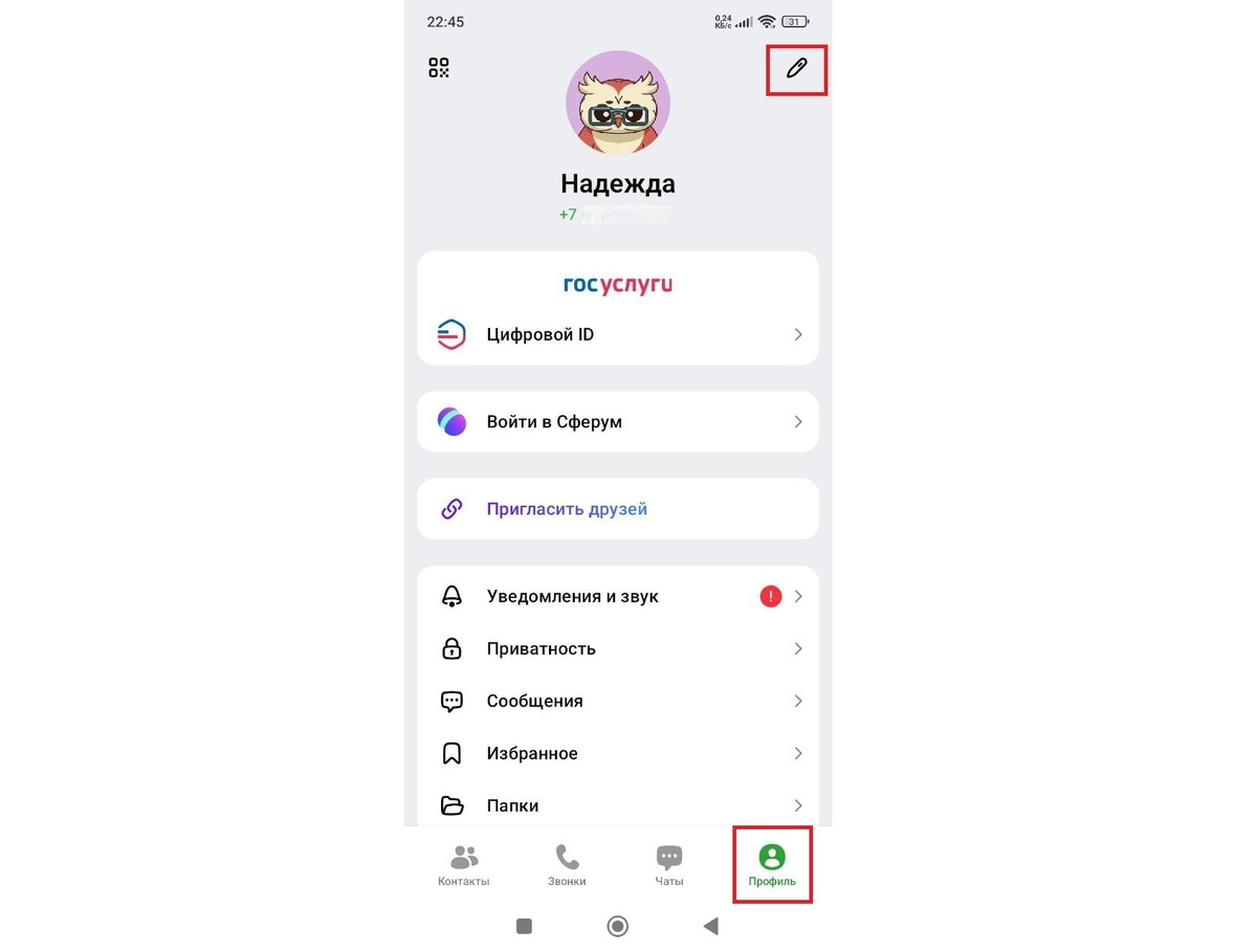 Вкладка "Профиль" и карандашик для редактирования профиля обведены в красные рамки. 