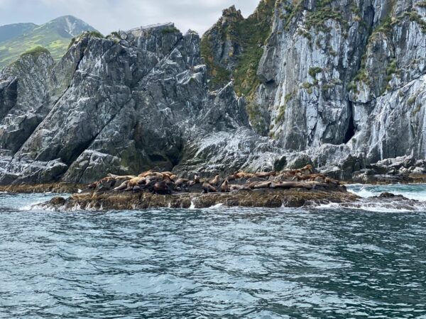    «Географический диктант» позволяет россиянам лучше узнать свою Родину. Фото: Алёна Минина