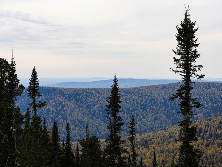 Фото: Razmik Zackaryan/URA.RU/Global Look Press
