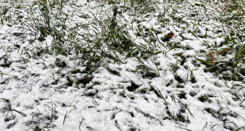    Первый городской канал Калининград