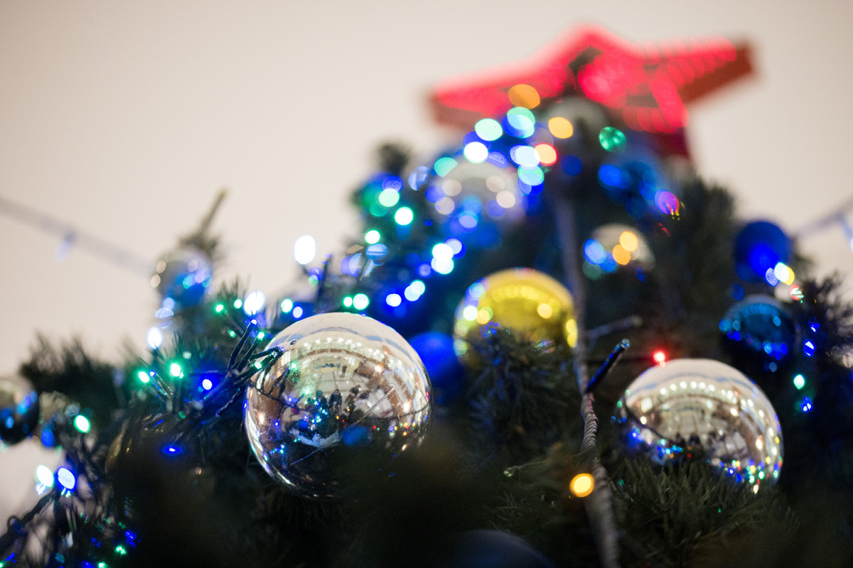 ФОТО: Sergey Elagin/GlobalLookPress