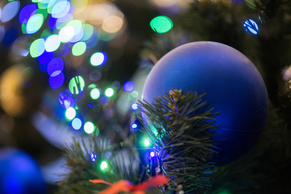 ФОТО: Sergey Elagin/GlobalLookPress